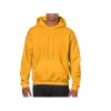 Sweat capuche 270