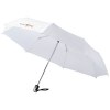 Parapluie 21.5" 3 sections ouverture fermeture automatique Alex