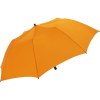 Parasol FARE