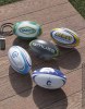 Mini Rugby BUSINESS