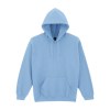 Sweat-shirt capuche Heavy Blend™