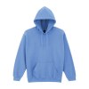 Sweat-shirt capuche Heavy Blend™