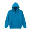 Sweat-shirt capuche Heavy Blend™