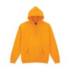 Sweat-shirt capuche Heavy Blend™