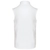 Bodywarmer softshell homme