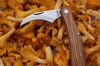 Couteau à champignon