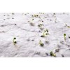 ASIDE - Papier A5 graines de fleurs