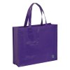 Flubber sac shopping