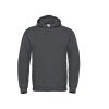 Sweat capuche 280